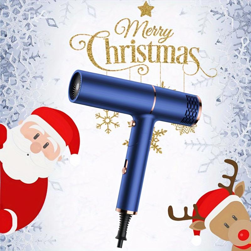 Professional Hair Dryer With Diffuser Blow Dryer Ionic Fast Blow Dry For All Hair Types Holiday Gift