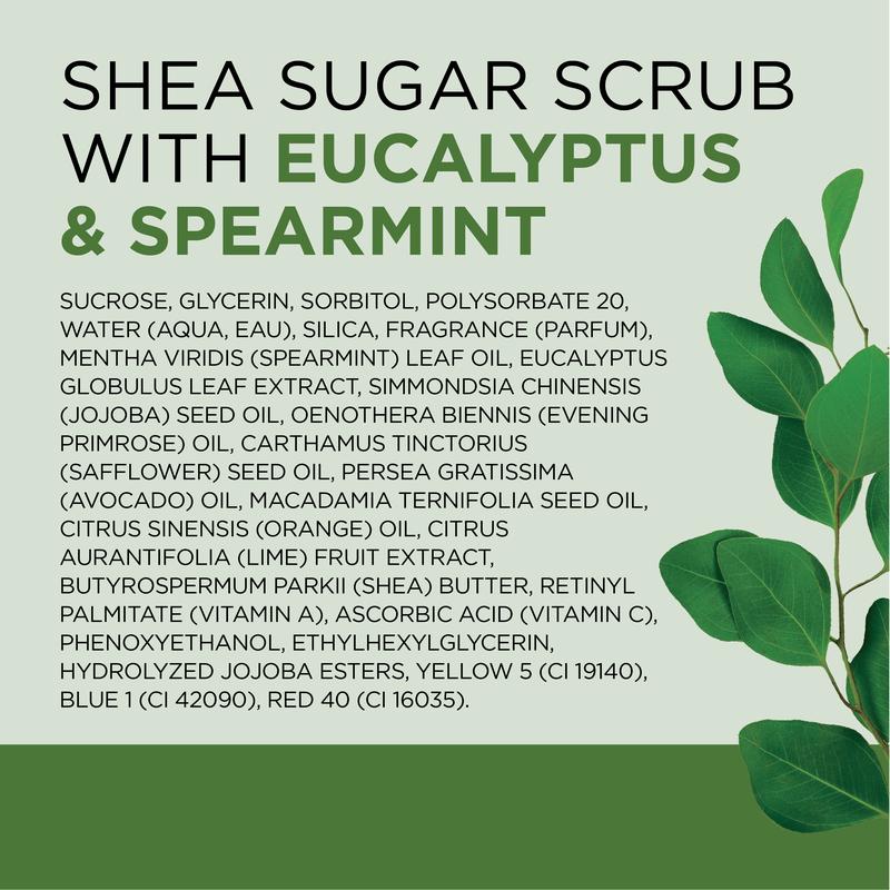 Dr Teal's Shea Sugar Body Scrub with Eucalyptus and Spearmint Essential Oils, 19 oz